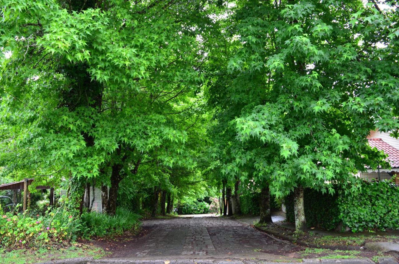 Campos do Jordão Casa Sirin 빌라 외부 사진